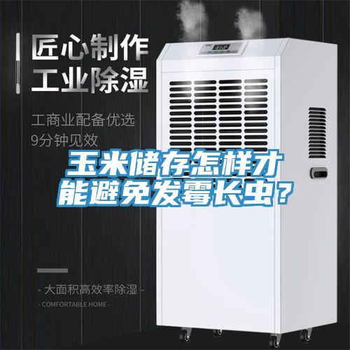 玉米儲(chǔ)存怎樣才能避免發(fā)霉長(zhǎng)蟲(chóng)？