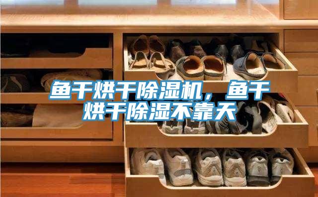 魚干烘干除濕機(jī)，魚干烘干除濕不靠天