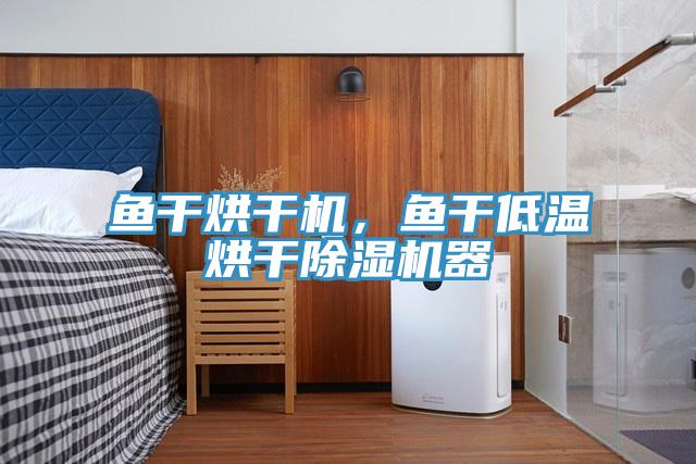魚干烘干機(jī)，魚干低溫烘干除濕機(jī)器