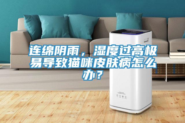 連綿陰雨，濕度過(guò)高極易導(dǎo)致貓咪皮膚病怎么辦？