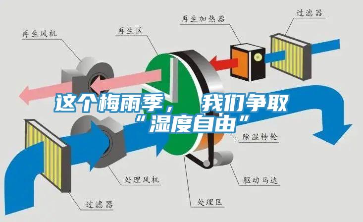 這個(gè)梅雨季， 我們爭(zhēng)取“濕度自由”