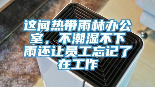 這間熱帶雨林辦公室，不潮濕不下雨還讓員工忘記了在工作