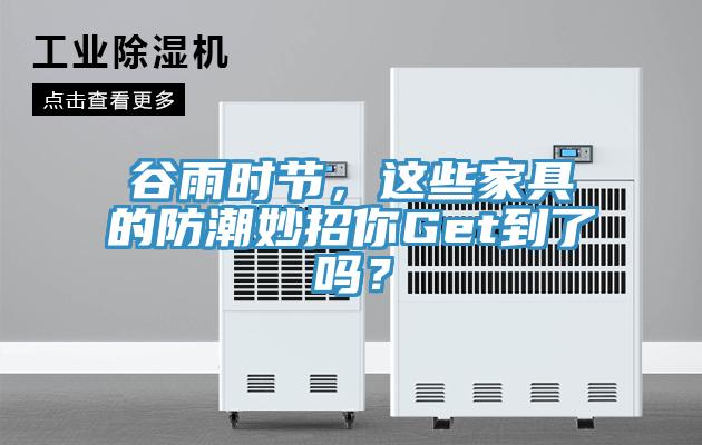 谷雨時節(jié)，這些家具的防潮妙招你Get到了嗎？