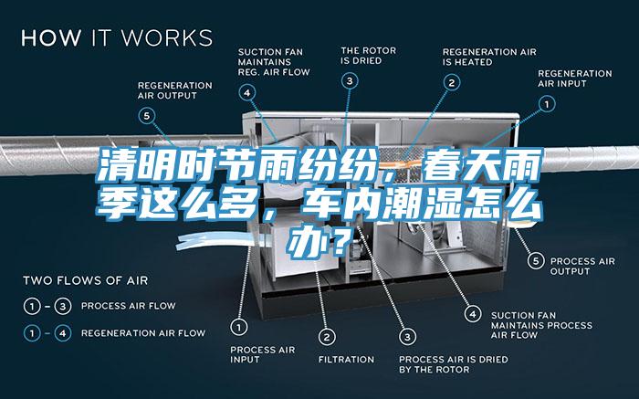 清明時節(jié)雨紛紛，春天雨季這么多，車內(nèi)潮濕怎么辦？