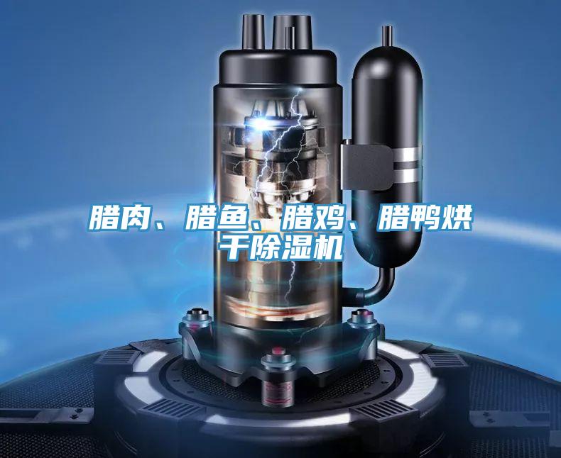 臘肉、臘魚、臘雞、臘鴨烘干除濕機(jī)
