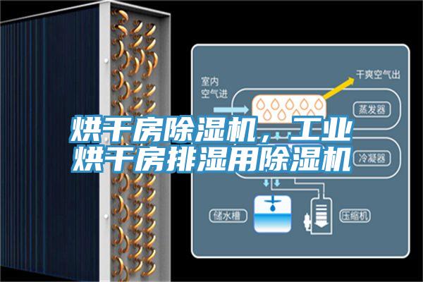 烘干房除濕機(jī)，工業(yè)烘干房排濕用除濕機(jī)