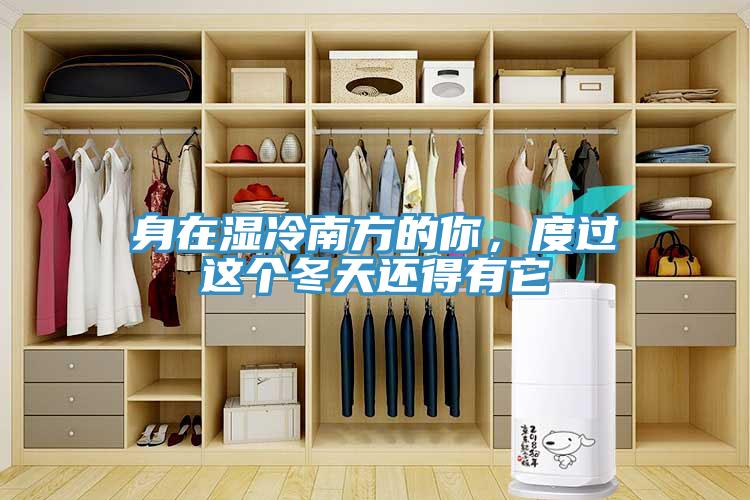 身在濕冷南方的你，度過這個冬天還得有它
