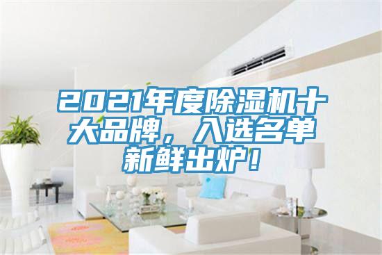 2021年度除濕機(jī)十大品牌，入選名單新鮮出爐！