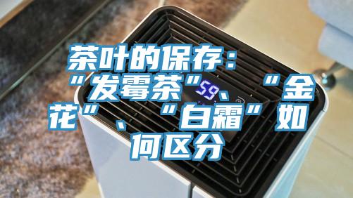 茶葉的保存：“發(fā)霉茶”、“金花”、“白霜”如何區(qū)分