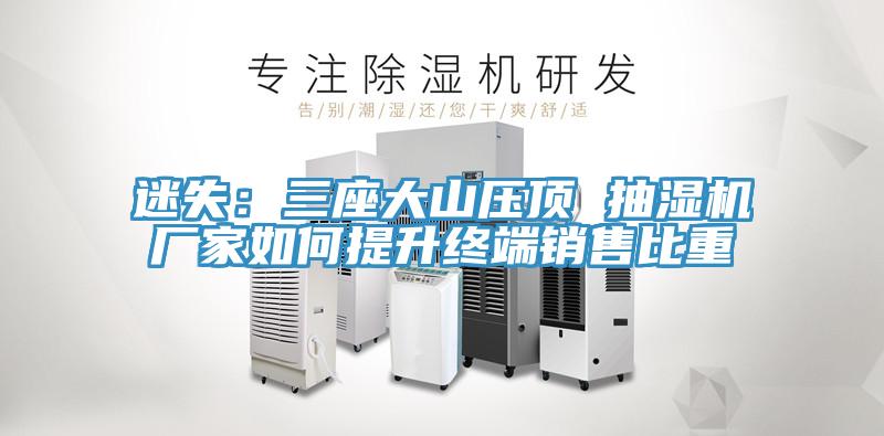 迷失：三座大山壓頂 抽濕機(jī)廠家如何提升終端銷(xiāo)售比重