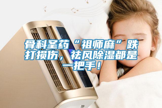 骨科圣藥“祖師麻”跌打損傷，祛風除濕都是一把手！