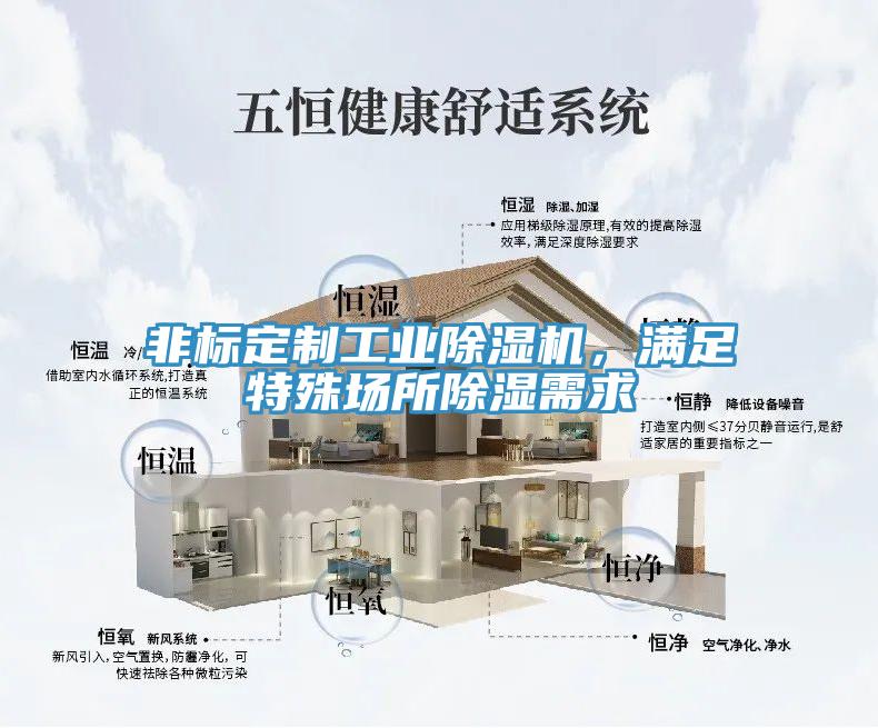 非標(biāo)定制工業(yè)除濕機(jī)，滿足特殊場(chǎng)所除濕需求