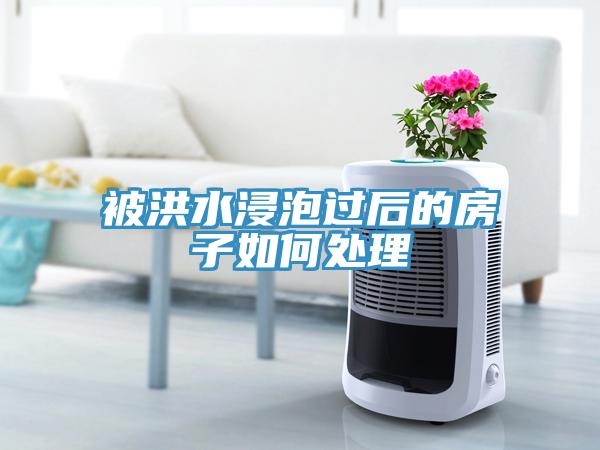 被洪水浸泡過(guò)后的房子如何處理