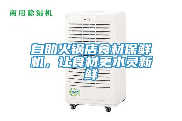 自助火鍋店食材保鮮機，讓食材更水靈新鮮