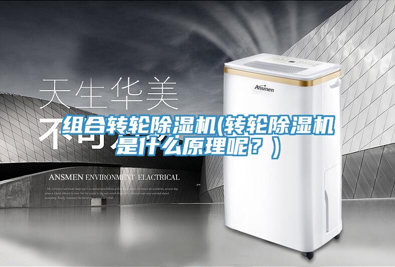 組合轉輪除濕機(轉輪除濕機是什么原理呢？)