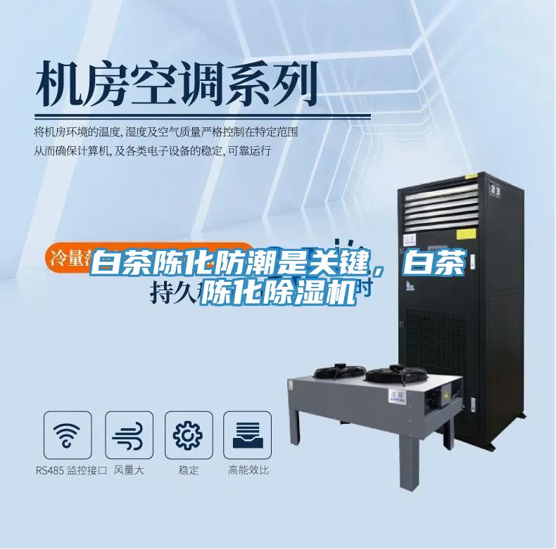 白茶陳化防潮是關鍵，白茶陳化除濕機