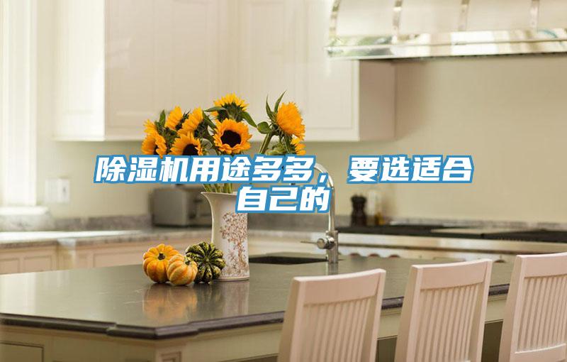除濕機用途多多，要選適合自己的