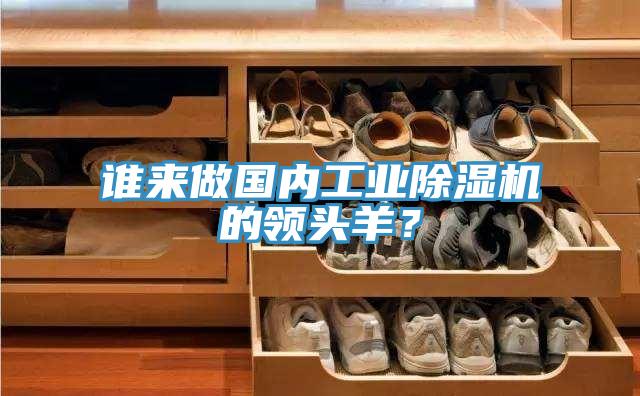 誰來做國內(nèi)工業(yè)除濕機(jī)的領(lǐng)頭羊？