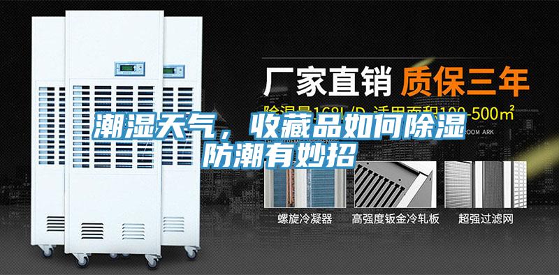 潮濕天氣，收藏品如何除濕防潮有妙招