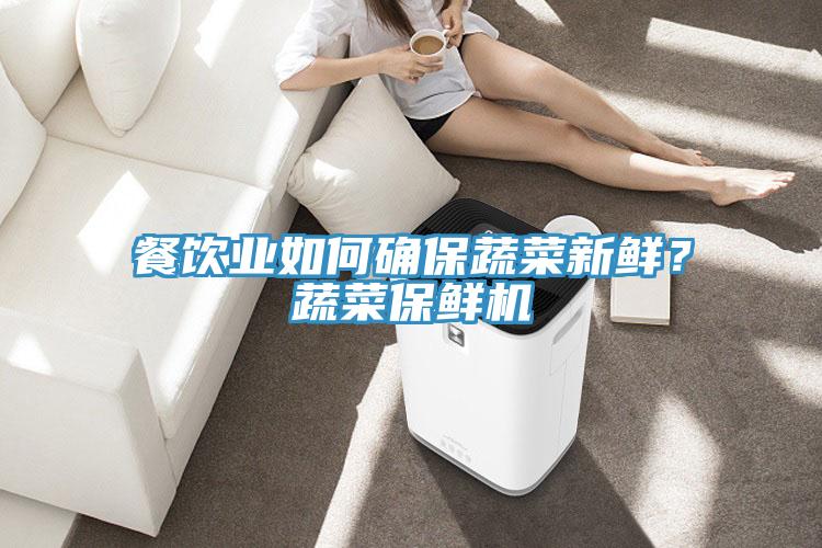 餐飲業(yè)如何確保蔬菜新鮮？蔬菜保鮮機(jī)