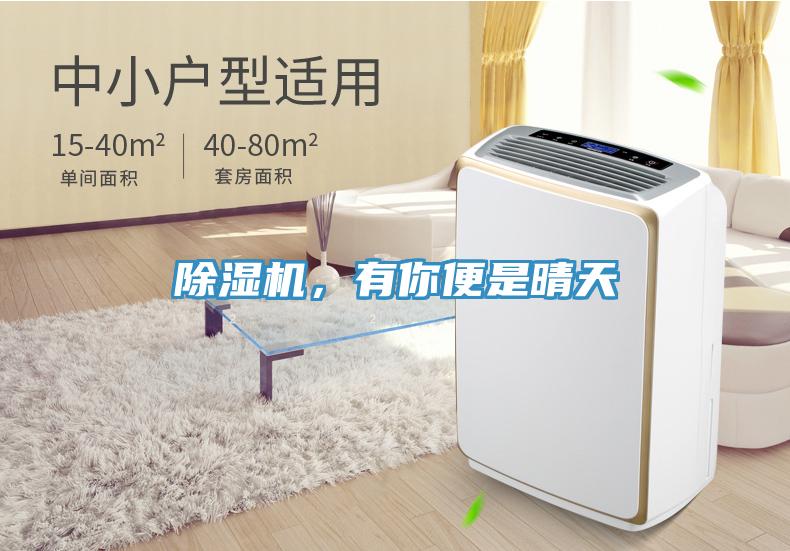 除濕機(jī)，有你便是晴天