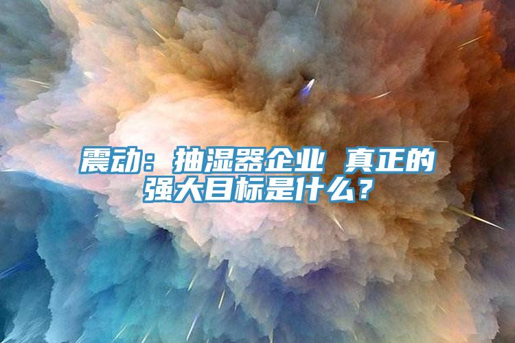 震動：抽濕器企業(yè) 真正的強(qiáng)大目標(biāo)是什么？