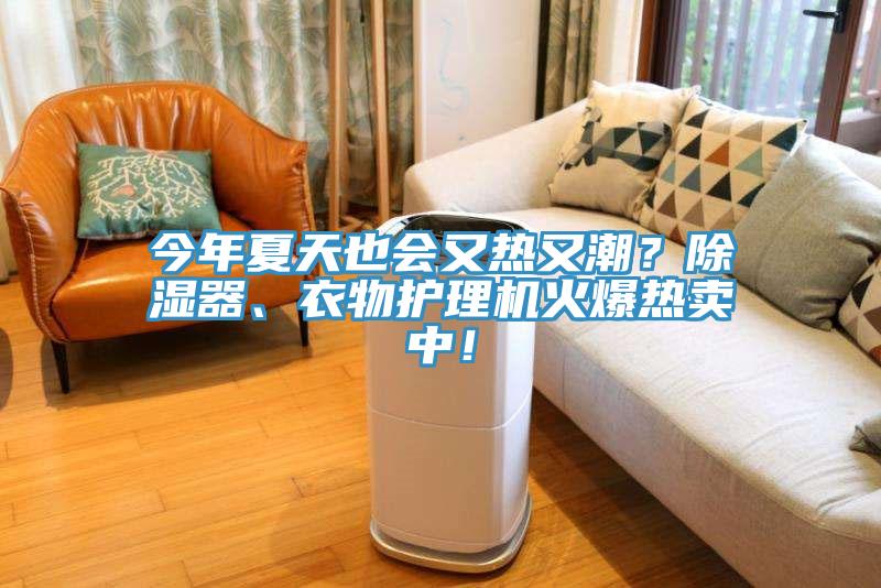 今年夏天也會又熱又潮？除濕器、衣物護理機火爆熱賣中！