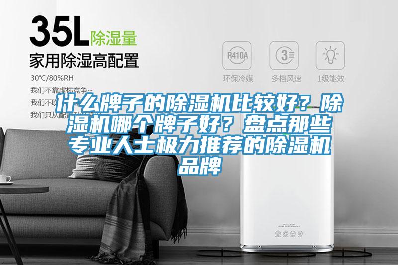 什么牌子的除濕機(jī)比較好？除濕機(jī)哪個牌子好？盤點(diǎn)那些專業(yè)人士極力推薦的除濕機(jī)品牌
