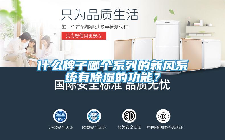 什么牌子哪個系列的新風系統(tǒng)有除濕的功能？