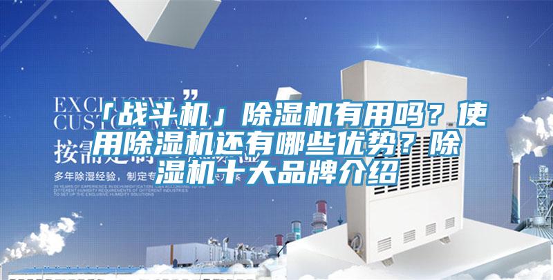 「戰(zhàn)斗機(jī)」除濕機(jī)有用嗎？使用除濕機(jī)還有哪些優(yōu)勢？除濕機(jī)十大品牌介紹