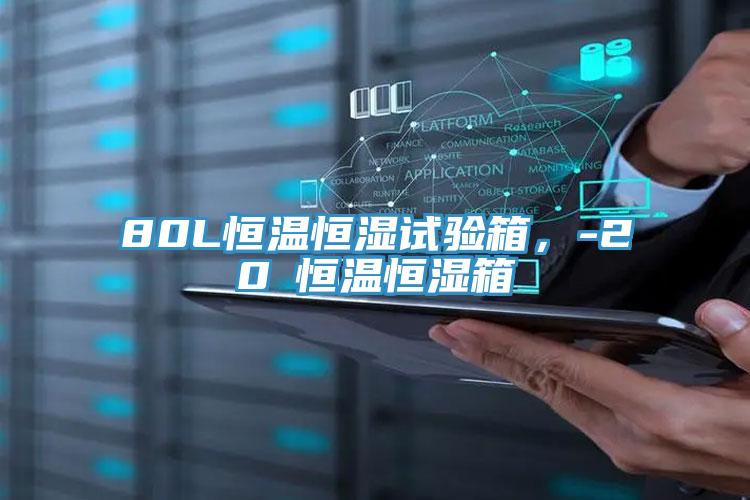 80L恒溫恒濕試驗(yàn)箱，-20℃恒溫恒濕箱