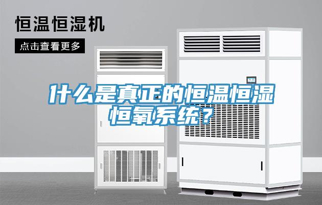 什么是真正的恒溫恒濕恒氧系統(tǒng)？