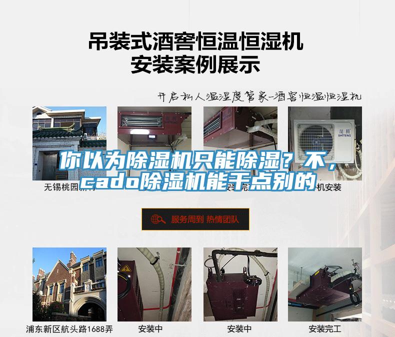 你以為除濕機只能除濕？不，cado除濕機能干點別的