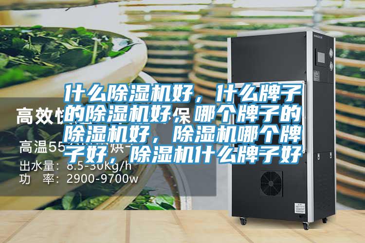 什么除濕機好，什么牌子的除濕機好，哪個牌子的除濕機好，除濕機哪個牌子好，除濕機什么牌子好