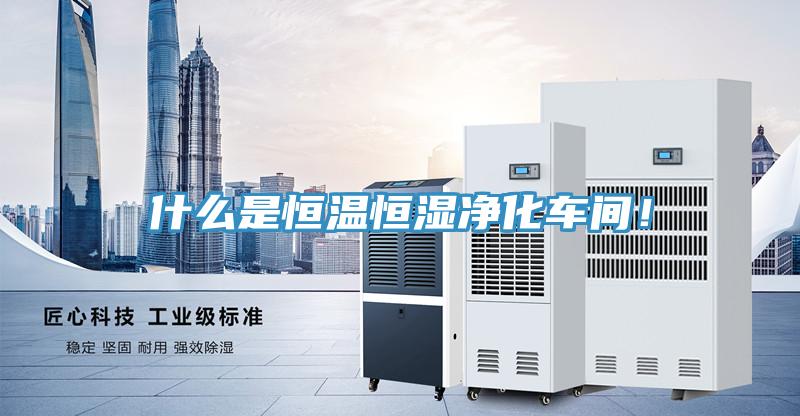 什么是恒溫恒濕凈化車間！