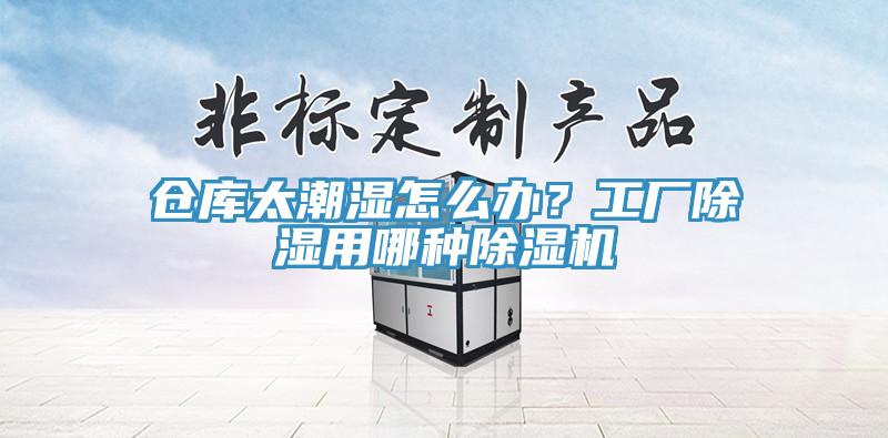 倉(cāng)庫(kù)太潮濕怎么辦？工廠除濕用哪種除濕機(jī)