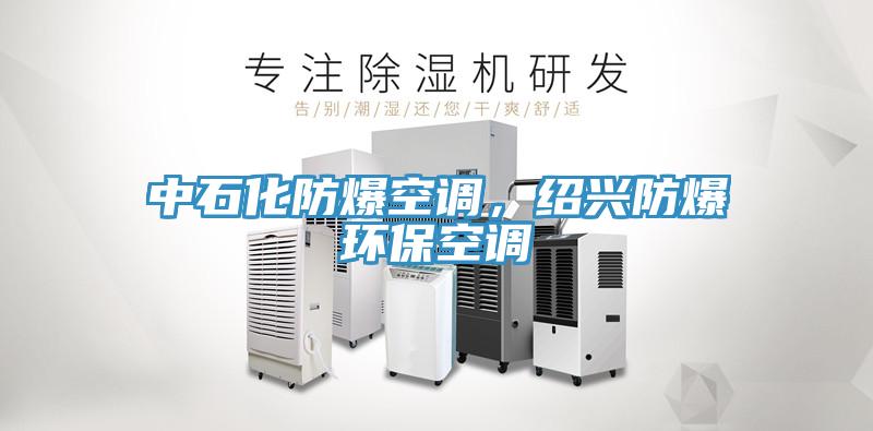中石化防爆空調(diào)，紹興防爆環(huán)?？照{(diào)
