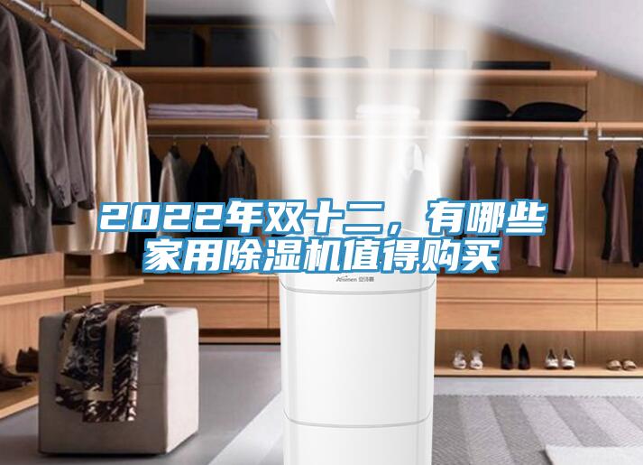 2022年雙十二，有哪些家用除濕機(jī)值得購(gòu)買