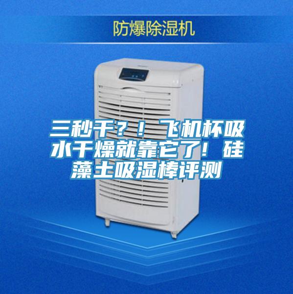 三秒干？! 飛機(jī)杯吸水干燥就靠它了! 硅藻土吸濕棒評(píng)測(cè)