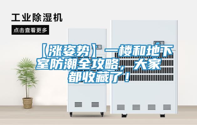 【漲姿勢(shì)】一樓和地下室防潮全攻略，大家都收藏了！