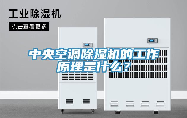 中央空調(diào)除濕機的工作原理是什么？