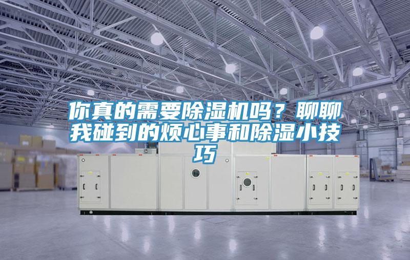 你真的需要除濕機嗎？聊聊我碰到的煩心事和除濕小技巧