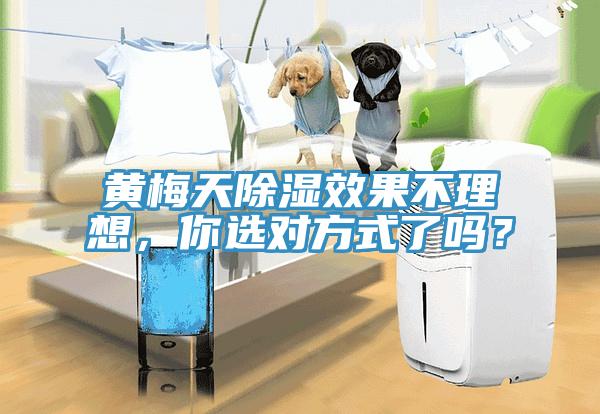 黃梅天除濕效果不理想，你選對方式了嗎？