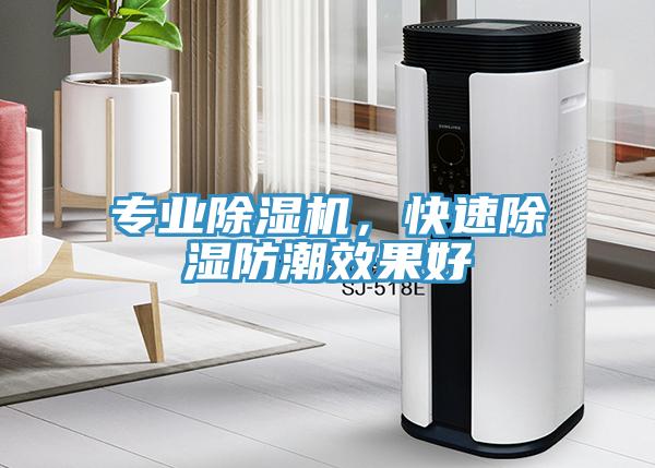 專業(yè)除濕機，快速除濕防潮效果好