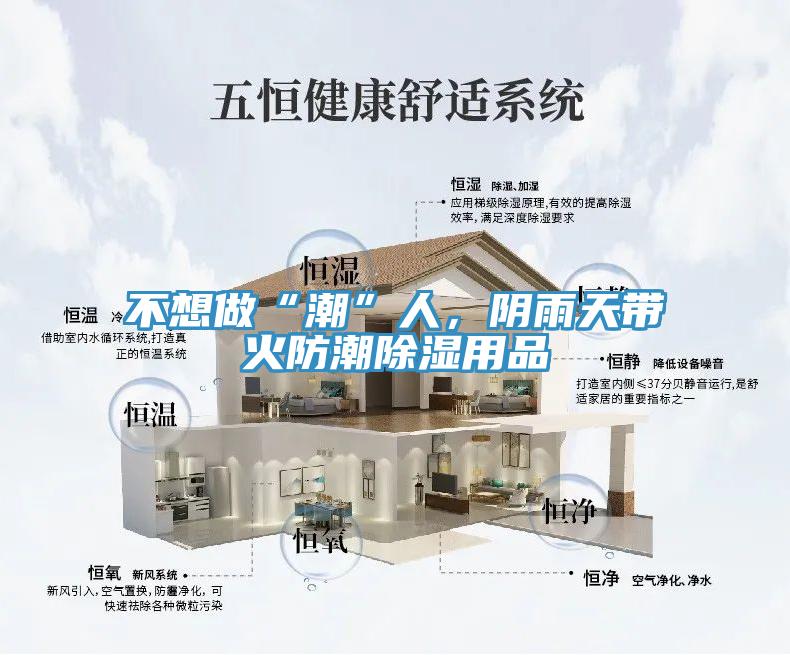不想做“潮”人，陰雨天帶火防潮除濕用品
