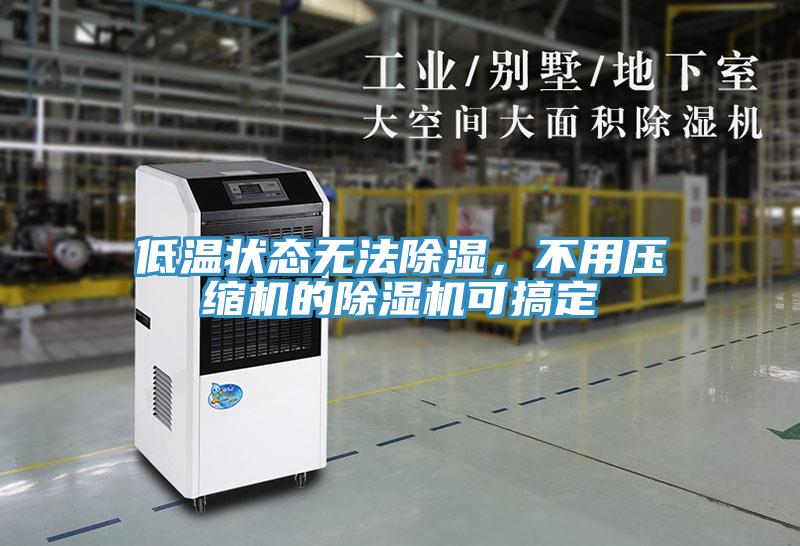 低溫狀態(tài)無(wú)法除濕，不用壓縮機(jī)的除濕機(jī)可搞定