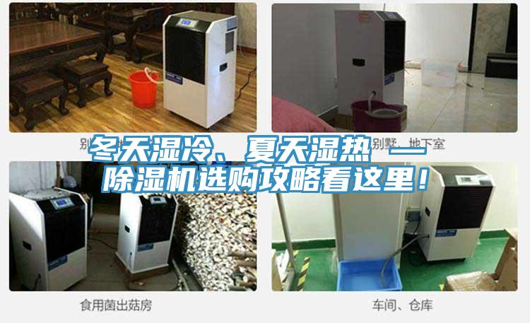 冬天濕冷、夏天濕熱 — 除濕機(jī)選購攻略看這里！
