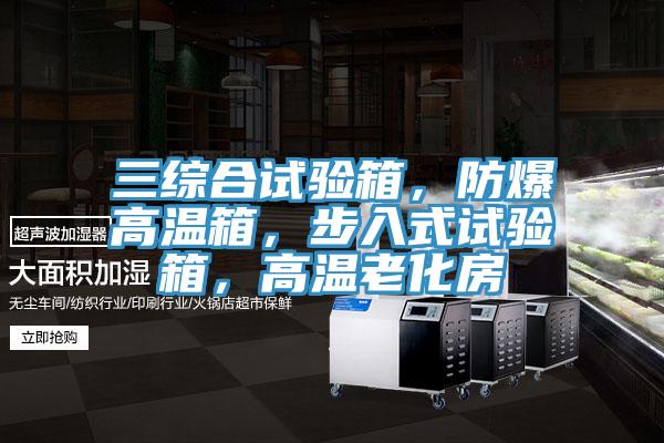 三綜合試驗(yàn)箱，防爆高溫箱，步入式試驗(yàn)箱，高溫老化房