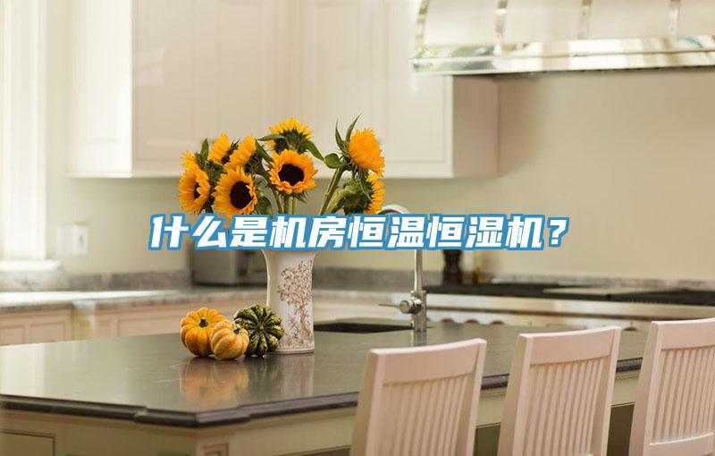什么是機(jī)房恒溫恒濕機(jī)？