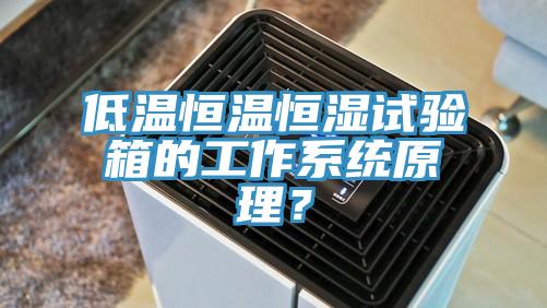 低溫恒溫恒濕試驗(yàn)箱的工作系統(tǒng)原理？